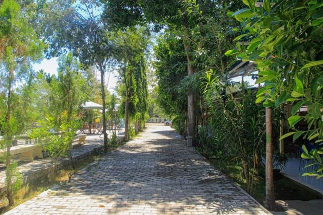 Pondok Wisata Dan Restoran Elim Waingapu Kültér fotó
